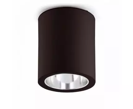 Потолочный светильник Pote-1 черный 1L