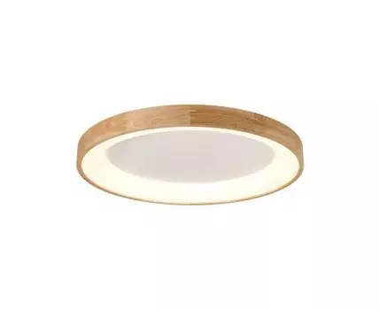 Потолочный светильник Silvam 65