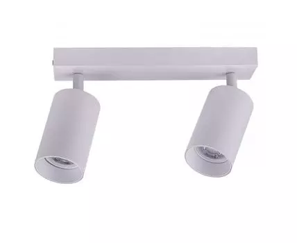 Потолочный светильник-спот Brizzi ARAS