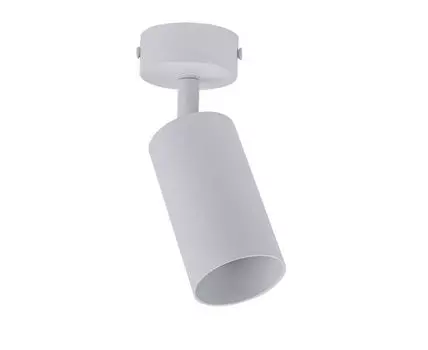 Потолочный светильник-спот Brizzi ARAS