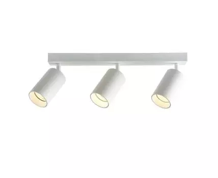 Потолочный светильник-спот Brizzi ARAS