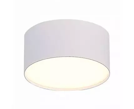 Потолочный светильник ST Luce