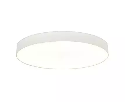 Потолочный светильник ST Luce