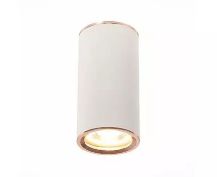 Потолочный светильник ST Luce CHOMUS