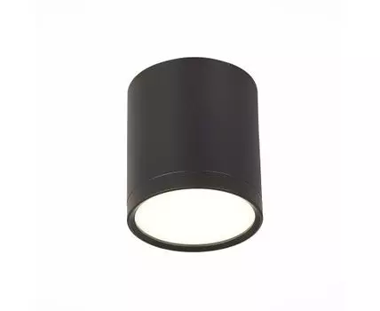 Потолочный светильник ST Luce RENE