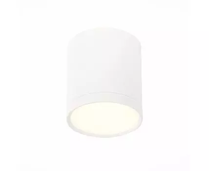 Потолочный светильник ST Luce RENE