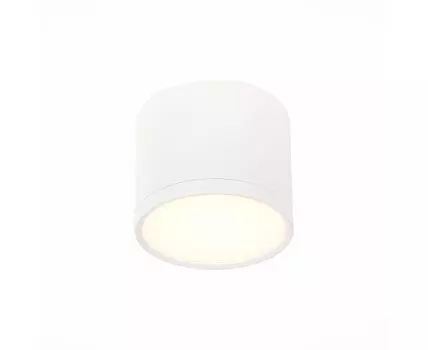 Потолочный светильник ST Luce RENE
