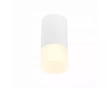 Потолочный светильник ST Luce ST100