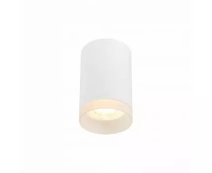 Потолочный светильник ST Luce ST100