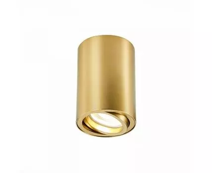 Потолочный светильник ST Luce ST108