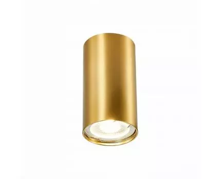 Потолочный светильник ST Luce ST110