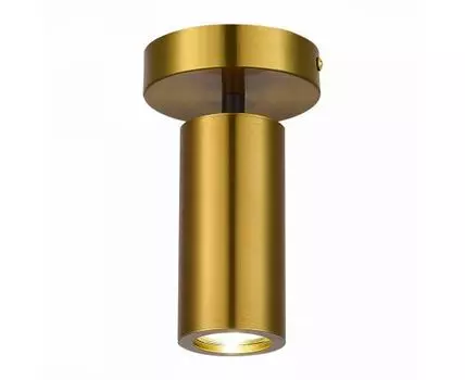 Потолочный светильник ST Luce TALIA