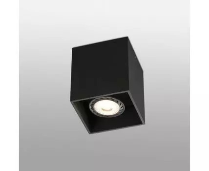 Потолочный светильник Tecto-1 черный