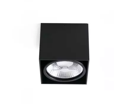 Потолочный светильник Tecto-1 черный AR111