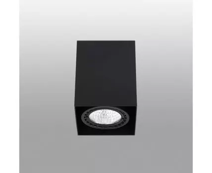 Потолочный светильник Teko1 черный