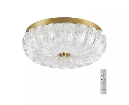 Потолочный светильник TESORO Sonex