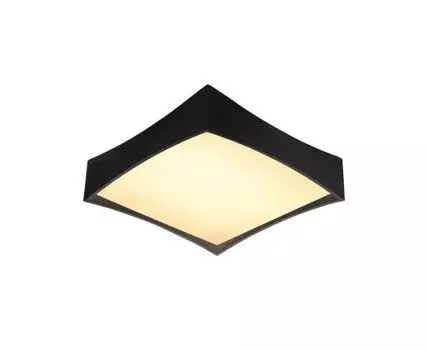 Потолочный светильник Veccio 50