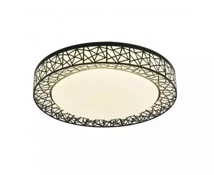 Потолочный светодиодный светильник Creatura (20)