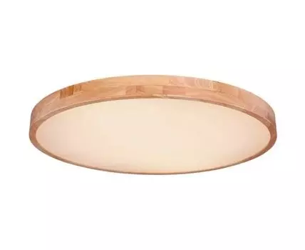 Потолочный светодиодный светильник Globo Rainer (Белый)