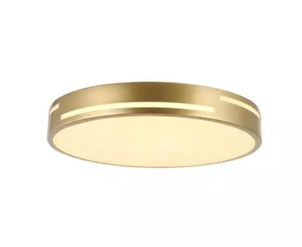 Потолочный светодиодный светильник Pall (4,2)