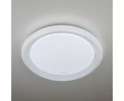 Потолочный светодиодный светильник с пультом 40013/1 LED белый