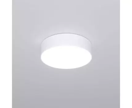 Потолочный светодиодный светильник с регулировкой яркости и цветовой температуры 90318/1 белый