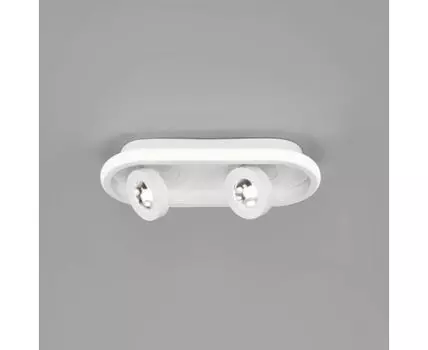 Потолочный светодиодный светильник в стиле лофт 20123/2 LED белый