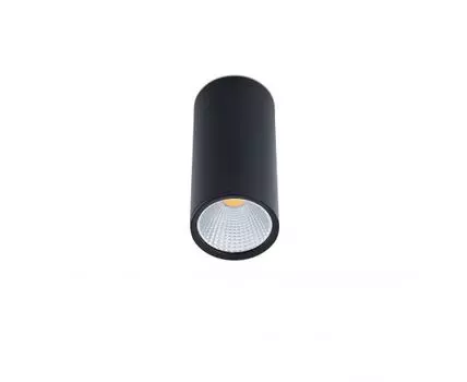 Потолочный ветильник Rel-P черный