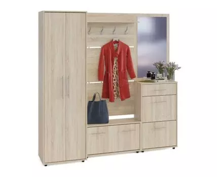 Прихожая Моренго 14 (208.7, 42.9, Закрытые, Светлое дерево, 210)