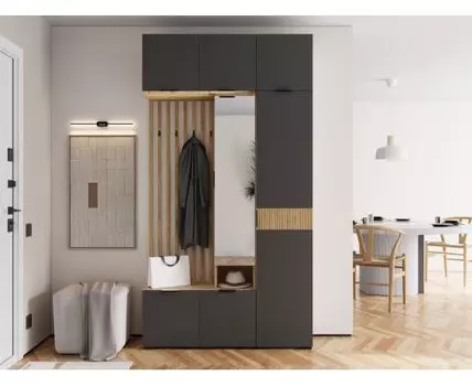 Прихожая Роби (222,6, 35, Закрытые, Светлое дерево, 120)