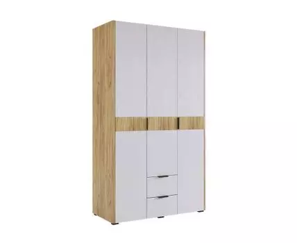 Распашной шкаф Адам
