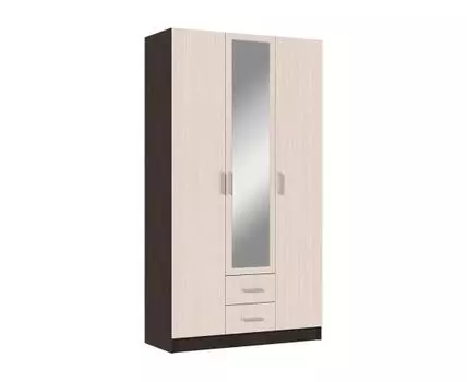 Распашной шкаф Феста