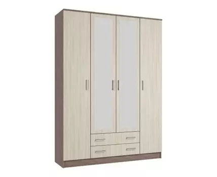 Распашной шкаф Эко 2