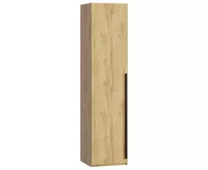 Распашной шкаф Кимбол-1-50-210 Wood