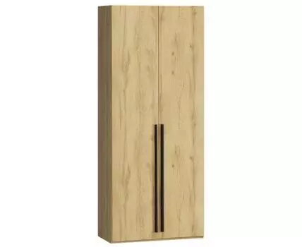 Распашной шкаф Кимбол-2-100-240 Wood