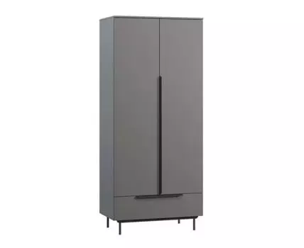 Распашной шкаф Квелен-2 Grey