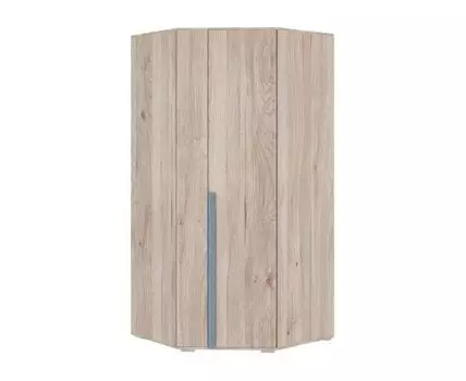 Распашной шкаф Лайк (210, 100 см, Угловые, Синий, 100 см)