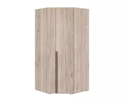 Распашной шкаф Лайк (210, 100 см, Угловые, Коричневый, 100 см)