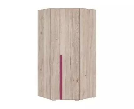 Распашной шкаф Лайк (210, 100 см, Угловые, Фиолетовый, 100 см)