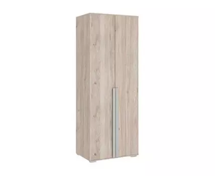 Распашной шкаф Лайк (210, 50 см, Прямые, Серый, 80 см)