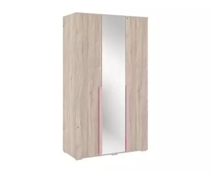 Распашной шкаф Лайк (210, 50 см, С зеркалом, Прямые, Розовый, 120 см)