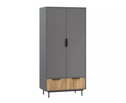 Распашной шкаф Леванте-2 Grey