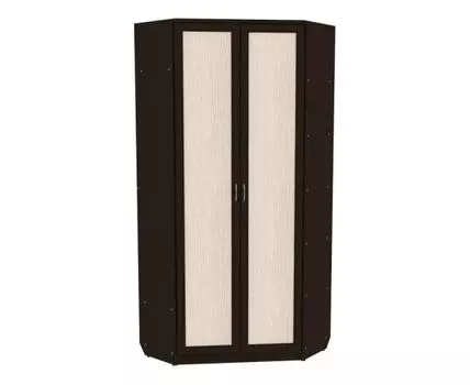 Распашной шкаф Мерлен 401