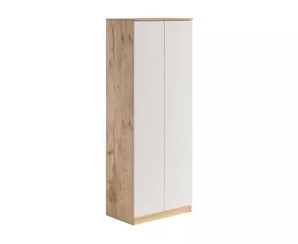 Распашной шкаф Охта Лайт