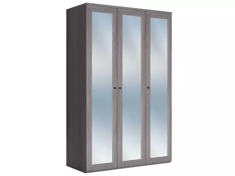 Распашной шкаф Парма Нео 20