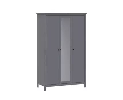 Распашной шкаф Сага