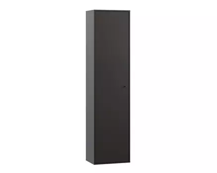 Распашной шкаф Сайрис-1 Black