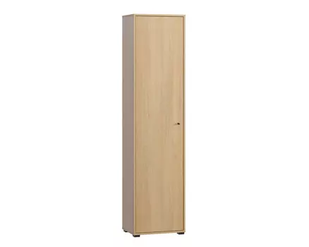 Распашной шкаф Сайрис-1 Oak