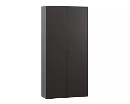 Распашной шкаф Сайрис-2 Black