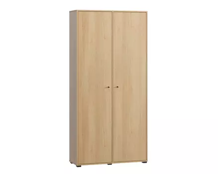 Распашной шкаф Сайрис-2 Oak